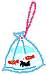 kingyosukui.gif